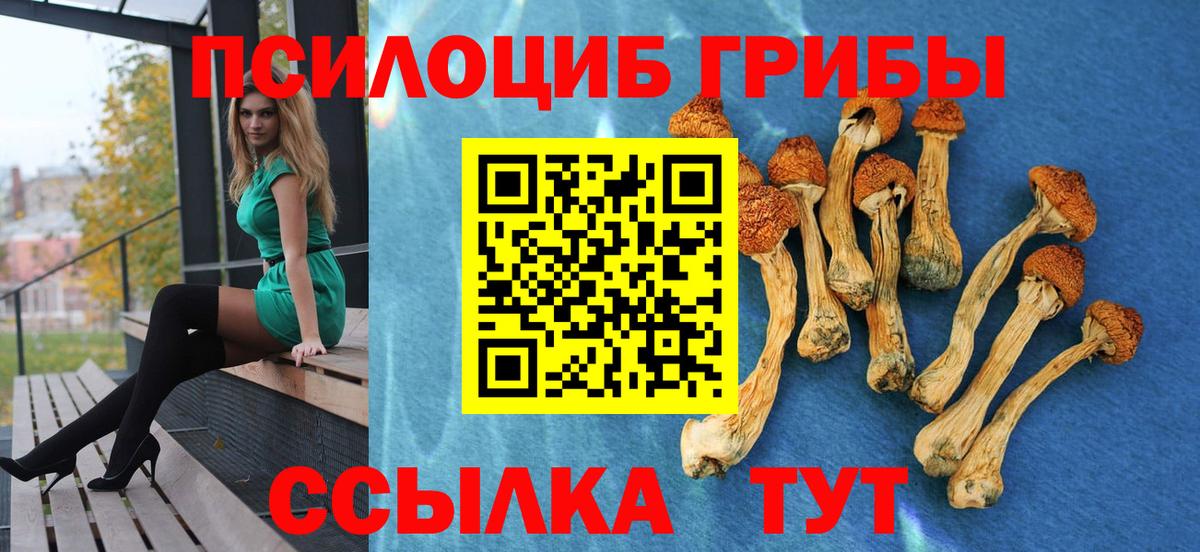 Галлюциногенные грибы MAGIC MUSHROOMS Кировск