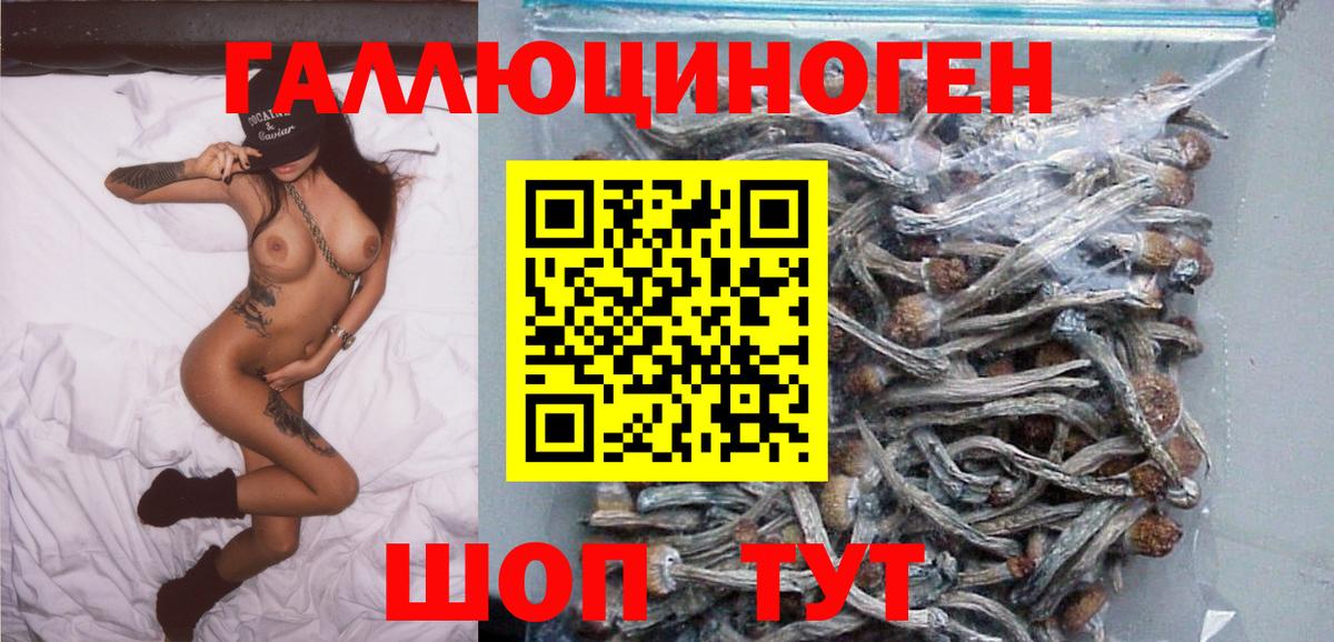 Кировск  цена наркотик  Вход с VPN  Галлюциногенные грибы прущие грибы 